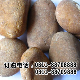 石家庄鹅卵石，雨花石，13400211588
